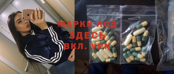 шишки Ельня