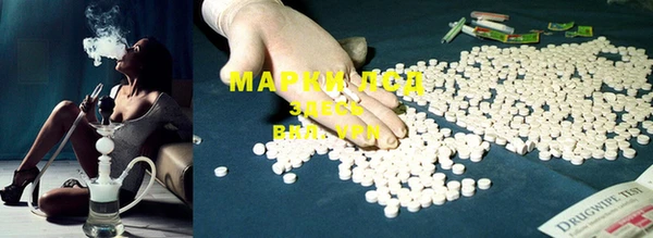 шишки Ельня