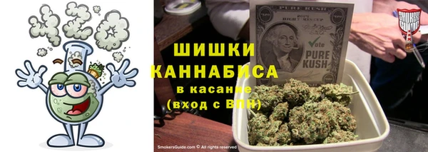 шишки Ельня